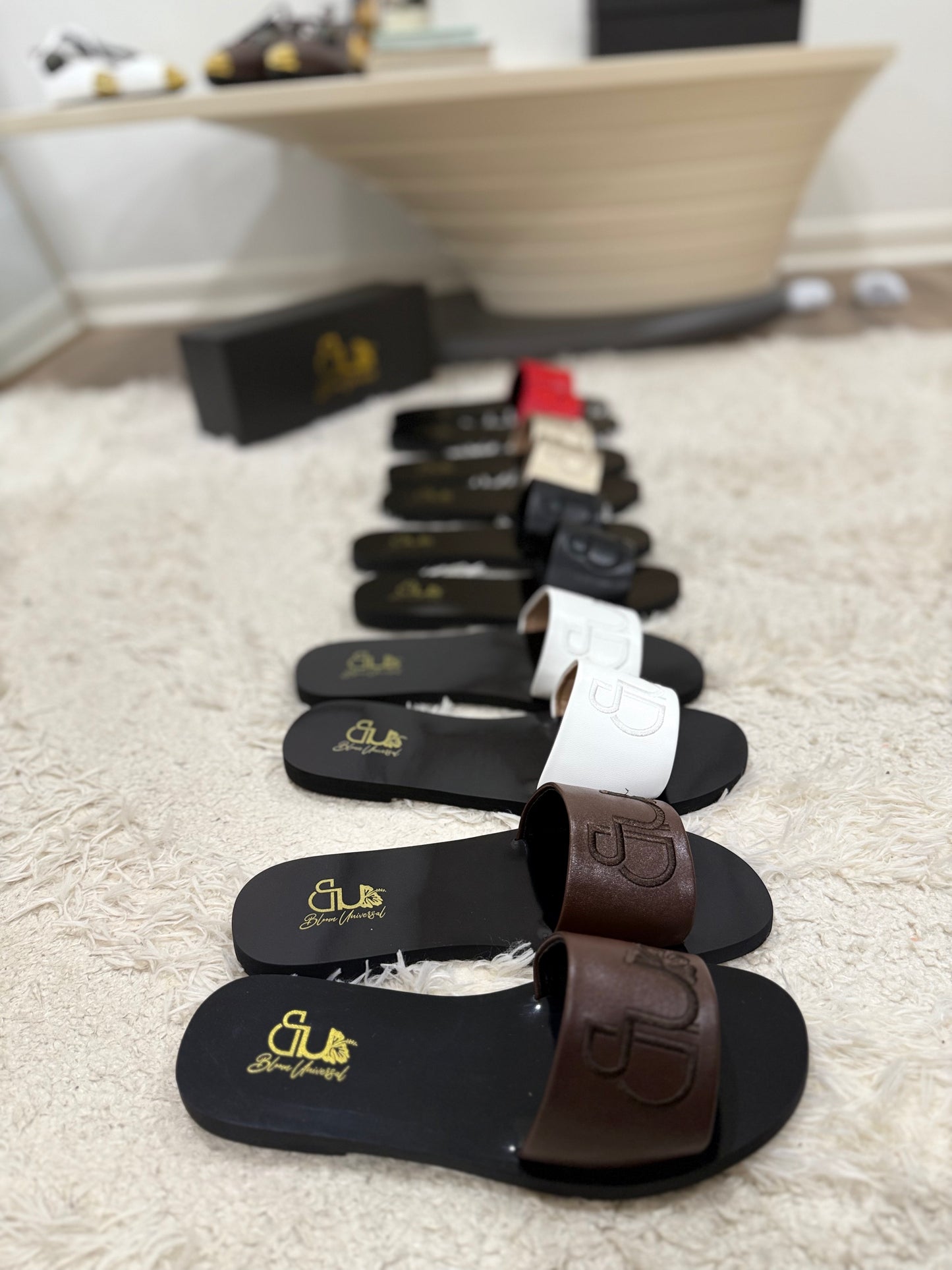 The Bloom Slides