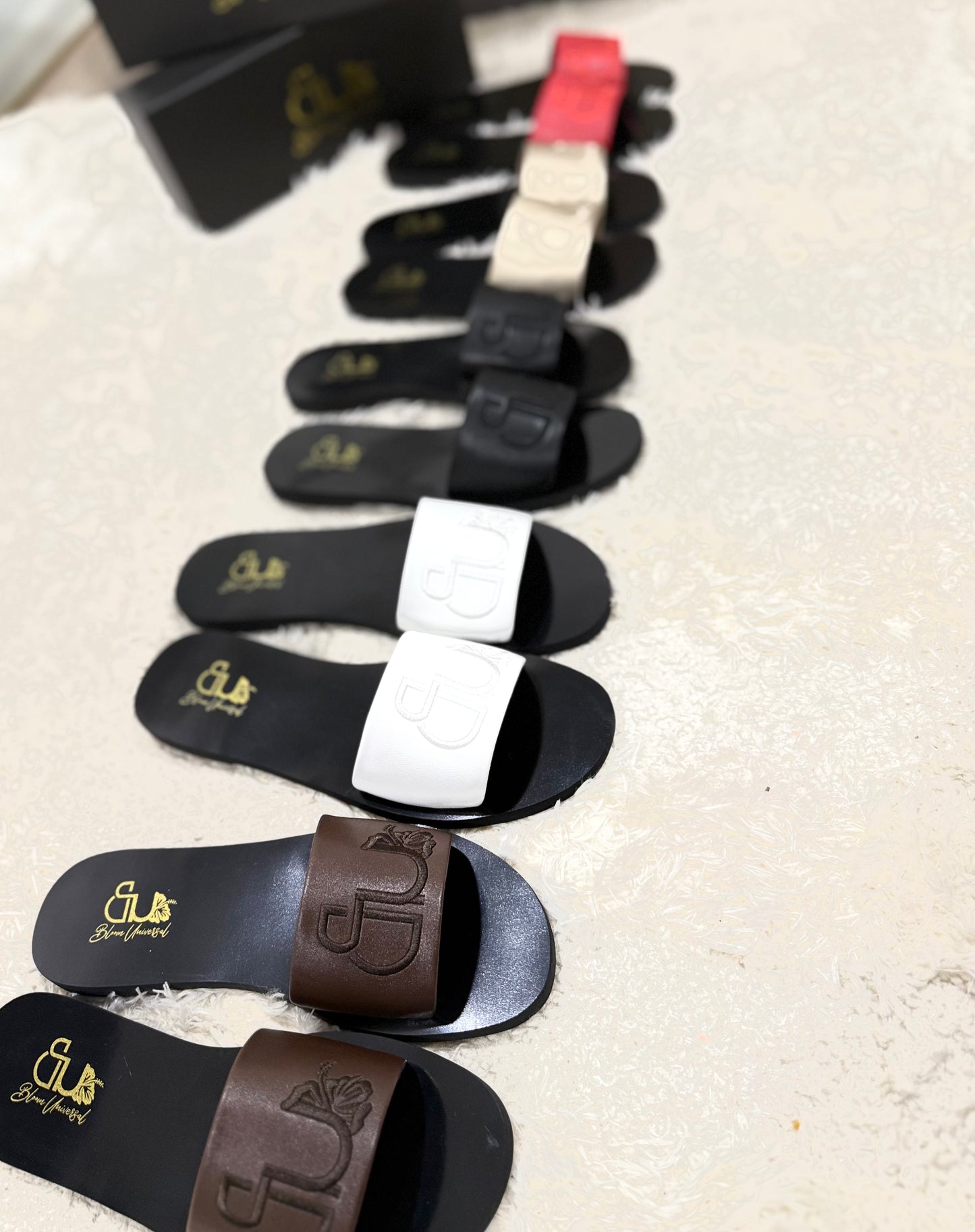The Bloom Slides